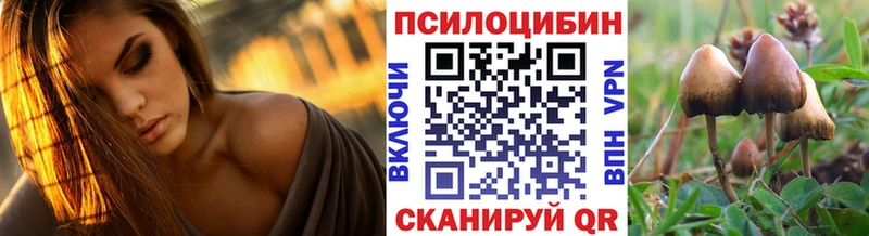 Псилоцибиновые грибы Psilocybine cubensis  Купить закладки  Багратионовск 